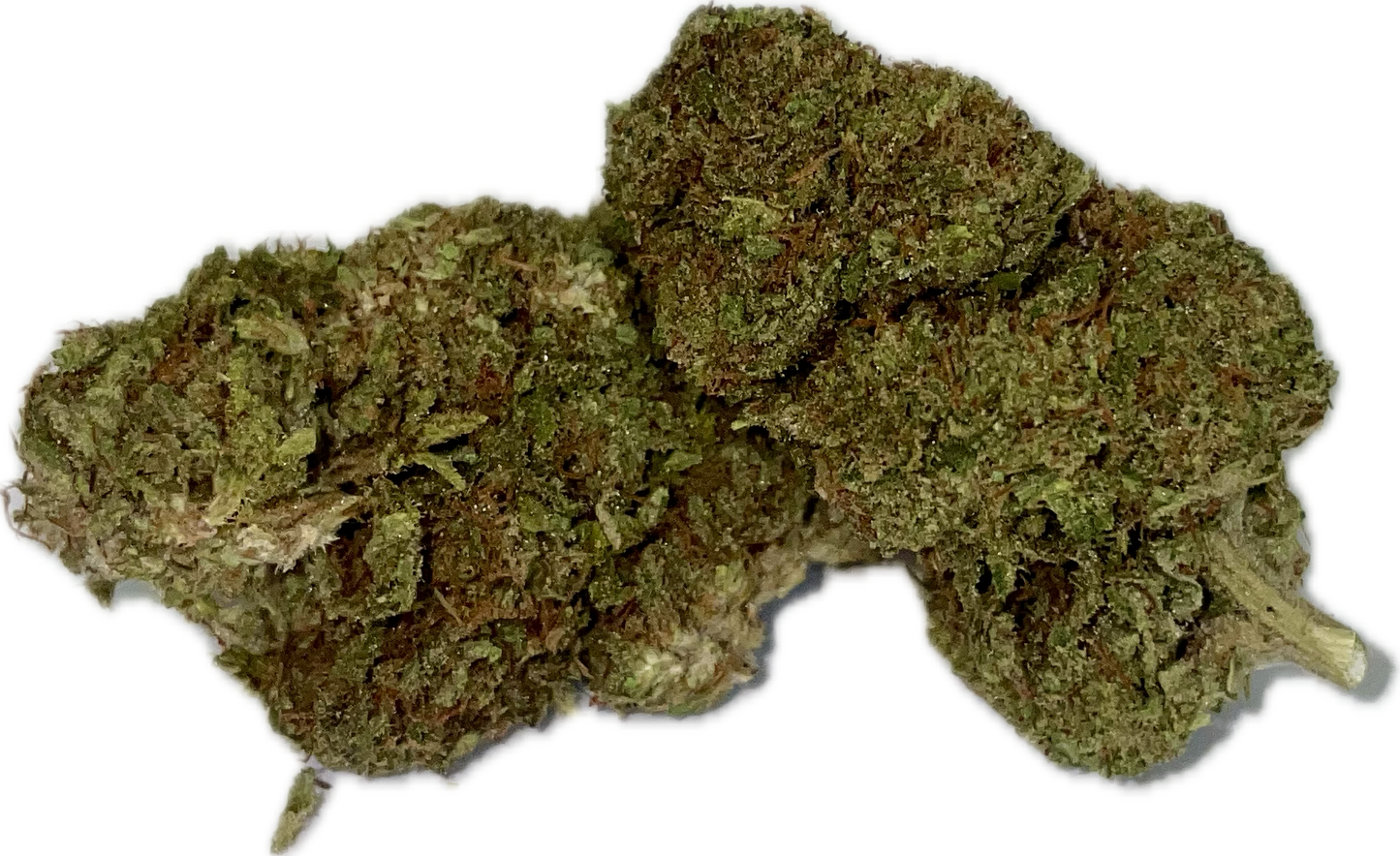 Lifter US Greenhouse - Fleur de CBD