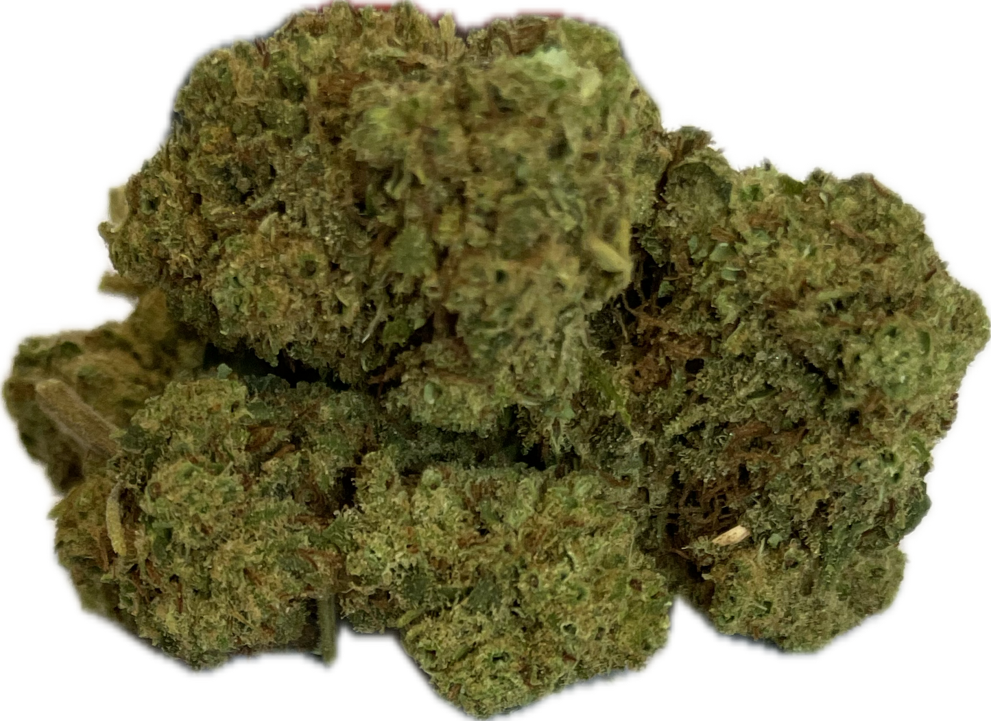 Gelato Indoor – Fleurs de CBD Premium