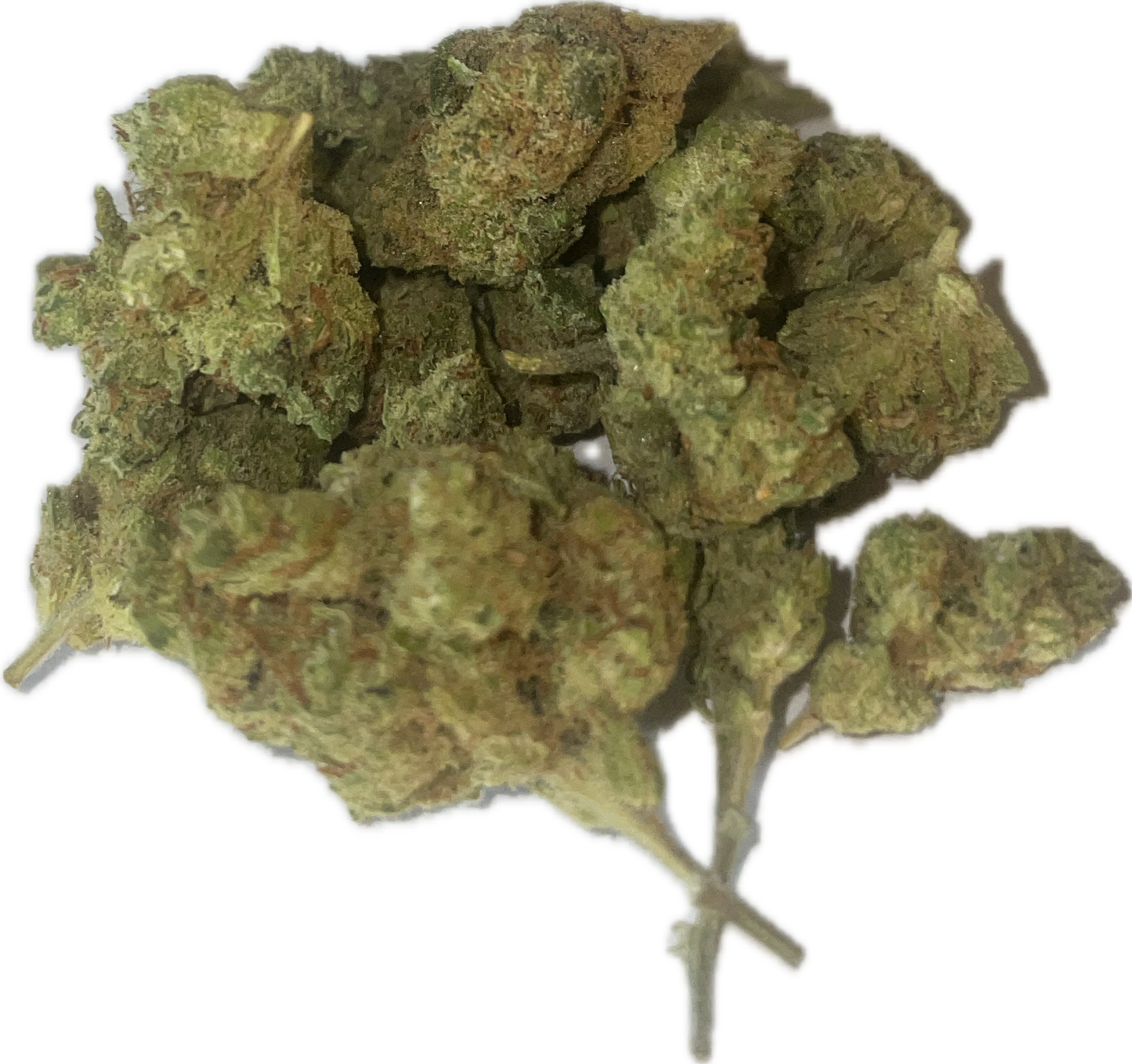 Amnesia indoor - Fleur de CBD