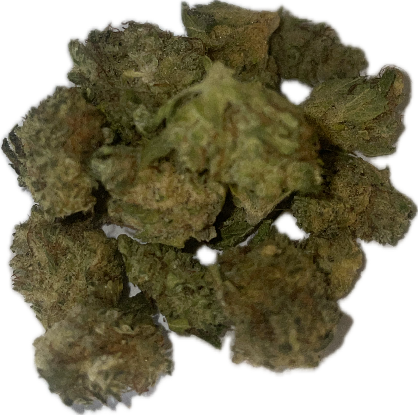 Lemon indoor - Fleur de CBD