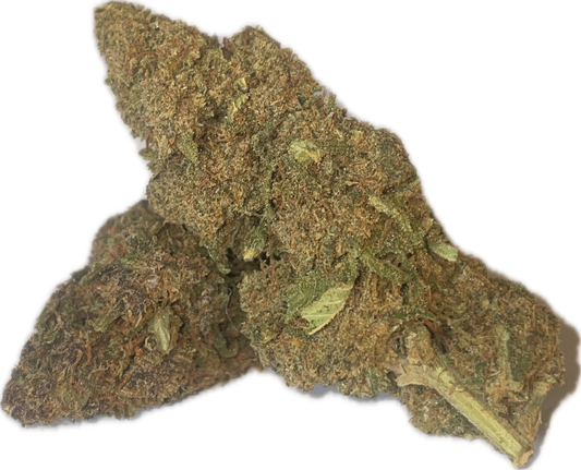 Purple M Glasshouse - Fleurs de CBD